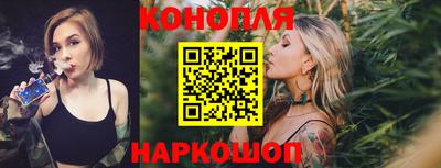 гидропоника Дубна
